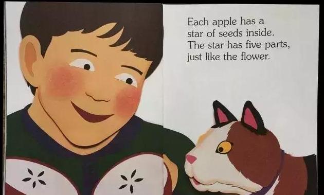 绘本屋丨I Am an Apple 我是一个苹果