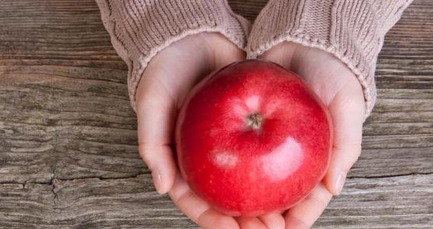 每天读一点英文：A Young Apple Tree 一颗小苹果树