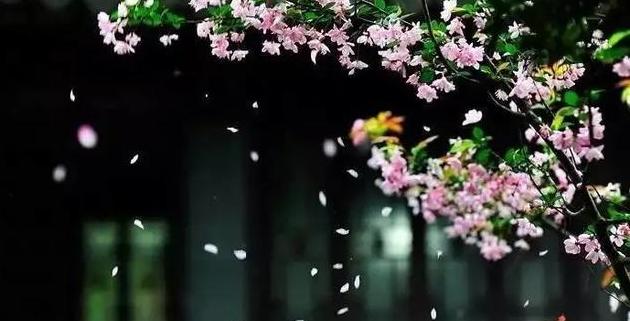 谷雨时节 农事春耕  十七首诗词留住最美的春天