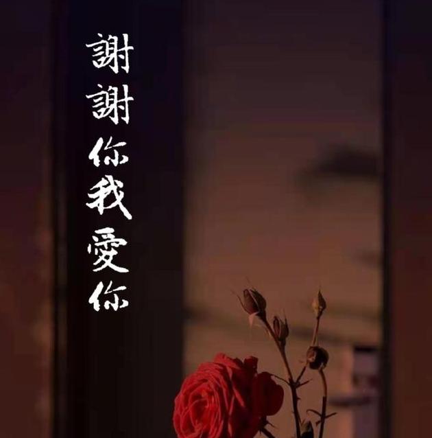 梅花梅花我爱你图片