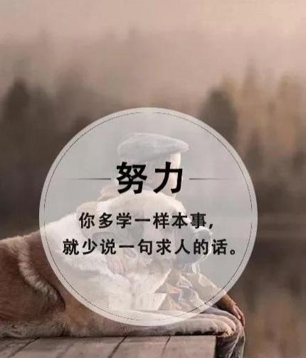 優美的積極向上的贈言短句積極向上幽默文案短句