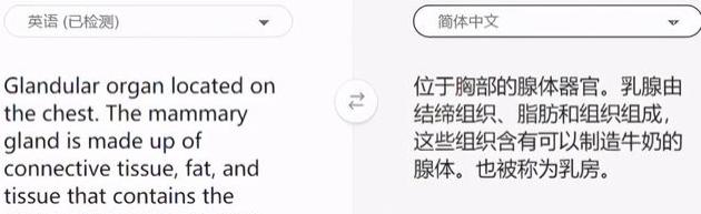 中文 翻译 马来文 马来西亚语翻译器app最新版下载