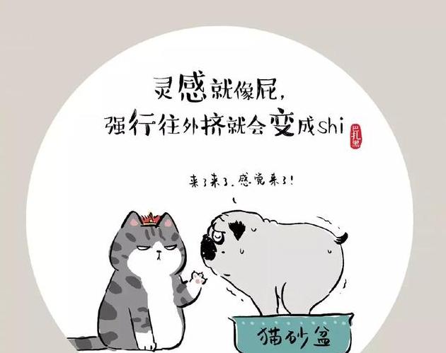 我的文案还不如一只猫 这些看透人生的金句文案666 语录网