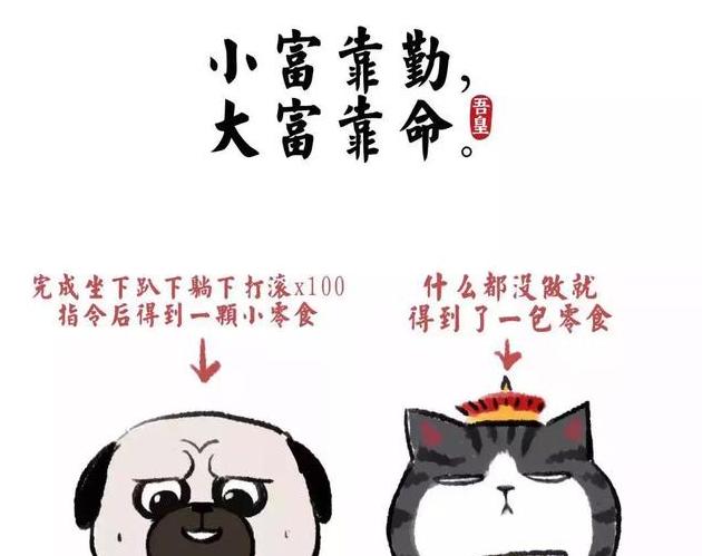 我的文案还不如一只猫 这些看透人生的金句文案666 语录网