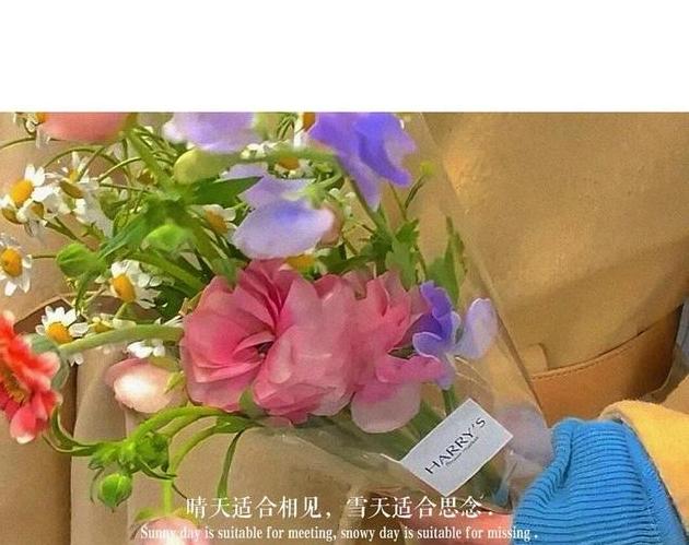 花的文案短句温柔(适合拍花发朋友圈的句子)