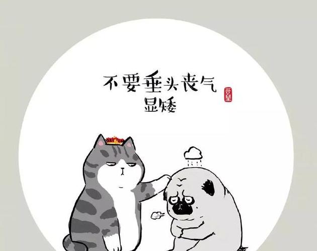 我的文案还不如一只猫 这些看透人生的金句文案666 语录网