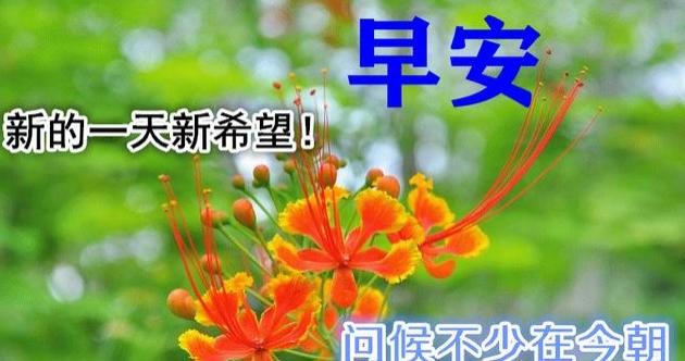 祝福平安的短句子平安健康祝福短信