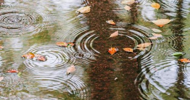 夏天雨的唯美句子夏天的雨文案熱門