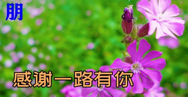 祝福平安的短句子平安健康祝福短信