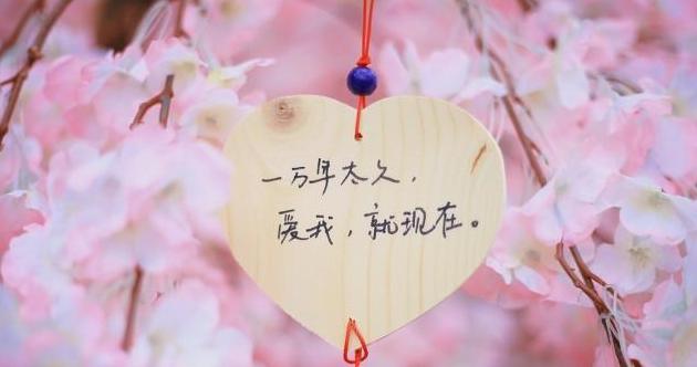 十四週年結婚紀念日經典短句