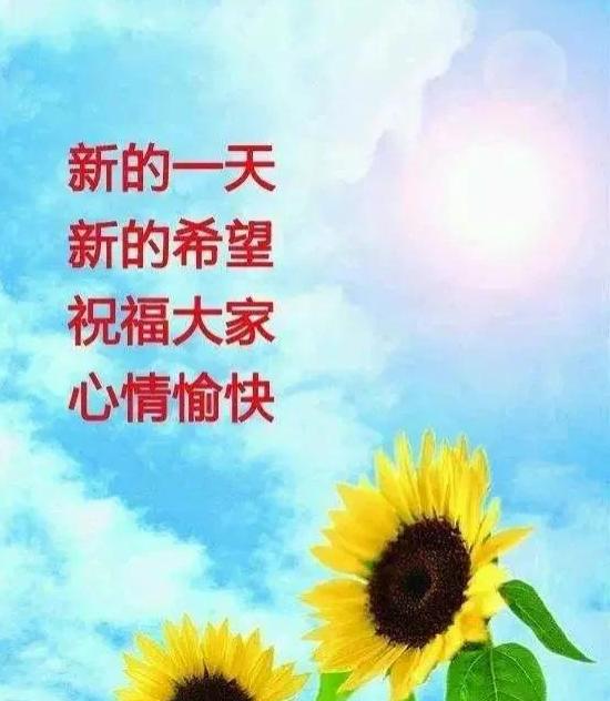 早上好的句子短語圖片2021年冬天早上好精華推薦