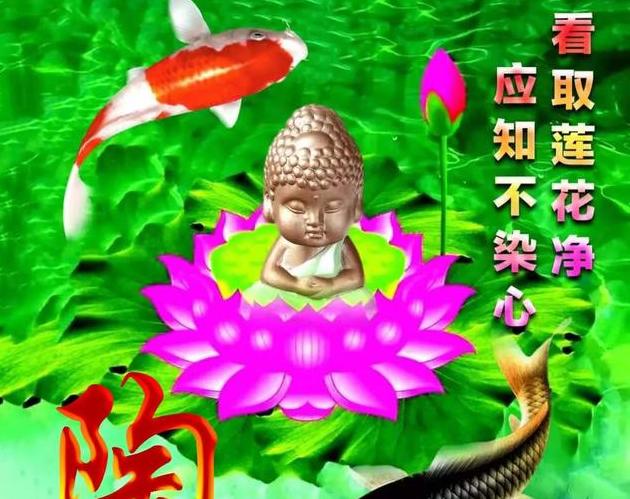 佛教蓮花微信頭像(佛系姓氏微信頭像圖片)-語錄網