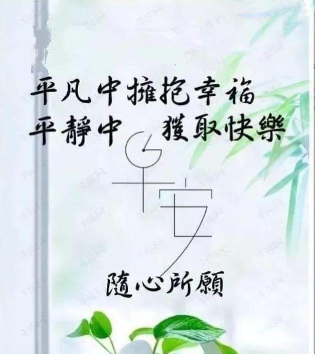 早安禅语图片图片