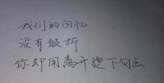 描写的句子美,形容美的经典语句？